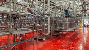 Poultry Processing Plants